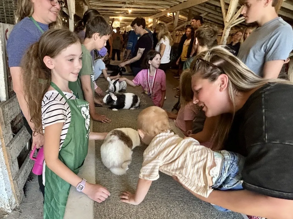 Discover the Highlights of Harrow Fair 2025: Bunny Showdown, Live Bands, and More!